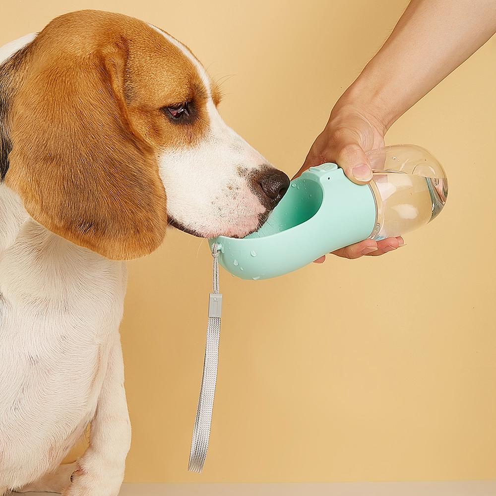 TravelBuddy - Bottiglia Portatile per Cani e Gatti con Ciotola Integrata